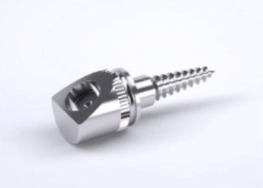 Stainless assembly with captive screw